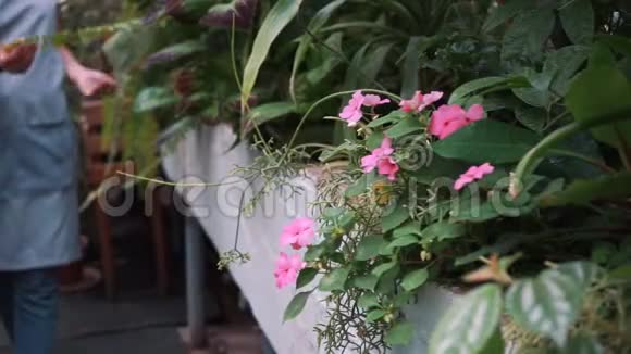 温室里的园丁照顾植物视频的预览图