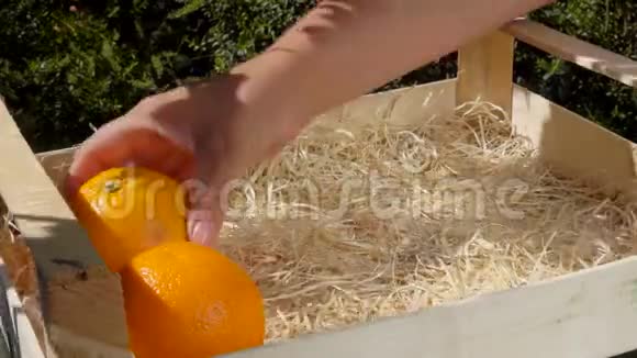 把成熟多汁的橘子放在木箱里视频的预览图