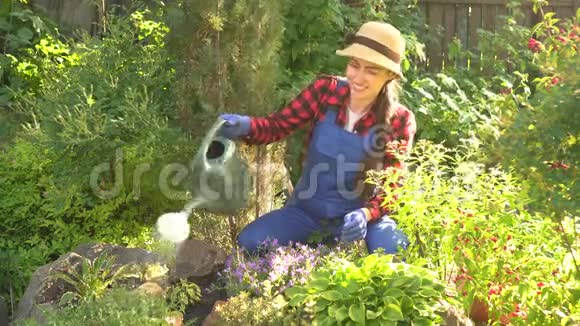 园丁浇灌花坛视频的预览图
