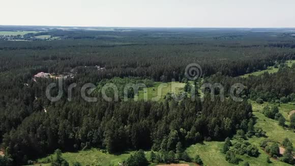 照相机飞过风景如画的森林视频的预览图