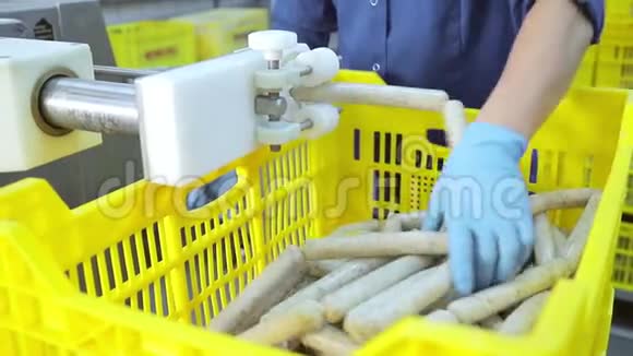 生产线的香肠特写女工人手控制香肠生产线的运行肉类视频的预览图