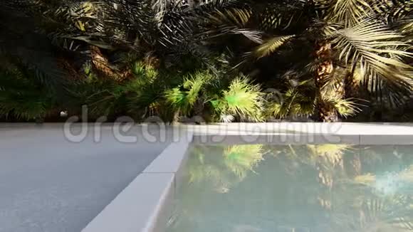 阳光明媚的一天美丽的游泳池在一个失去的热带岛屿上现实的三维动画视频的预览图