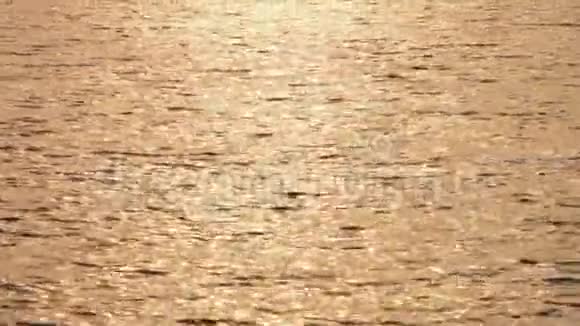 在印度的粉红水上移动视频的预览图