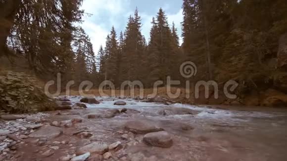 一股水流在秋天的橙色岩石和树林中间视频的预览图