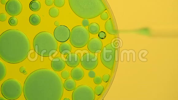 实验室用移液管从培养皿中提取藻类样品视频的预览图