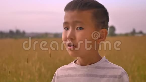 黄色田野上亚洲微笑可爱男孩的肖像视频的预览图
