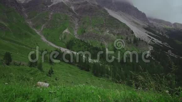 夏季意大利阿尔卑斯山青山中牧牛的钟声视频的预览图