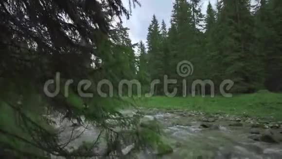一股强劲的水流在大自然的巨石和绿松树中间流动视频的预览图