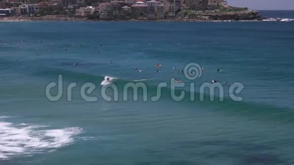 悉尼邦迪海滩有冲浪者冲浪视频的预览图