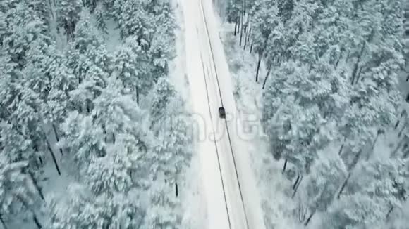黑车在松林雪域乡间小路上行驶鸟瞰视频的预览图