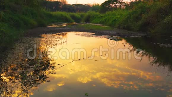 河面上美丽的夜光的反射视频的预览图