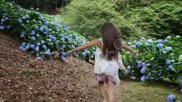 许多盛开的绣球花灌木生长在公园里女孩孩子高兴地跑过蓝色美丽的花朵视频的预览图