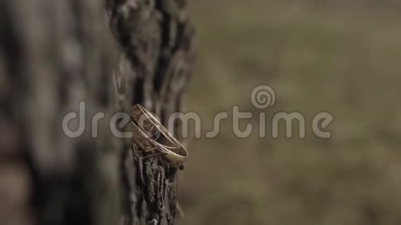 结婚戒指在木头上木头背景上的结婚戒指木制旧背景上的结婚戒指旧结婚戒指视频的预览图