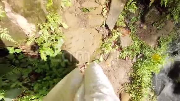 第一人称之为穿着连衣裙的女人光着脚在热带丛林的野生瀑布处散步平静无事的生活方式旅行视频的预览图