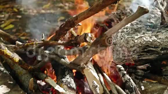 大型火焰特写老干的树枝和一张张纸在火上燃烧视频的预览图