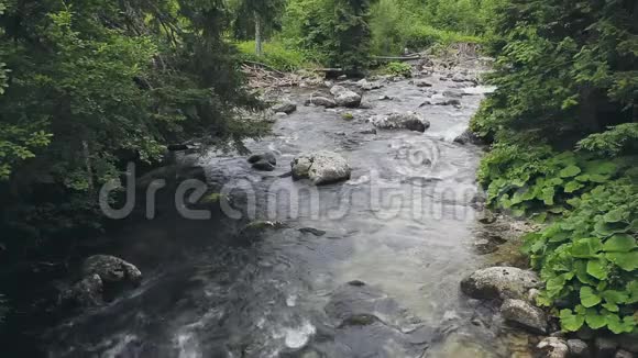 洛矶山河湍急的小溪视频的预览图