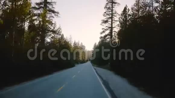 令人惊叹的POV观车在美丽的安静的森林道路之间的高大松树日落在约塞米蒂慢运动视频的预览图