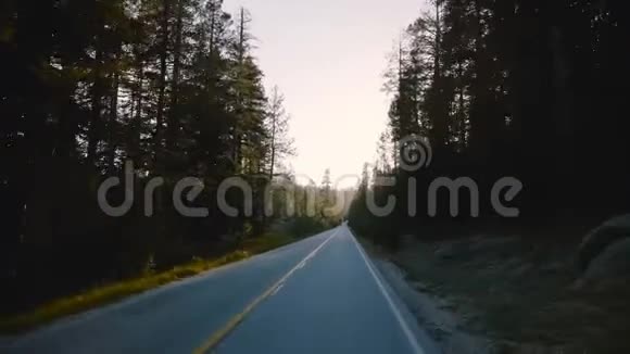 带着相机的汽车正沿着美丽的宁静的森林道路行驶在日落时分在约塞米蒂缓慢的运动中松树之间视频的预览图