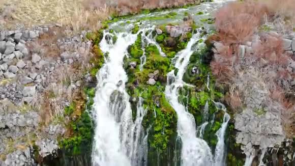 青苔和青草在瀑布的水流中茁壮成长视频的预览图
