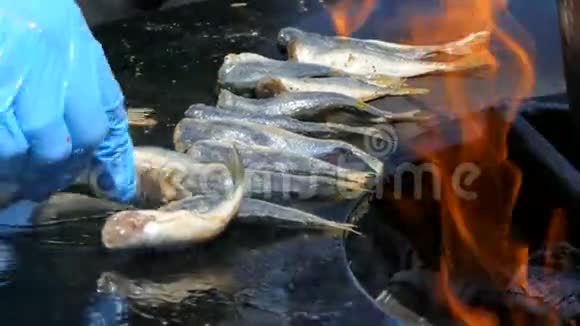 明火煮鱼视频的预览图