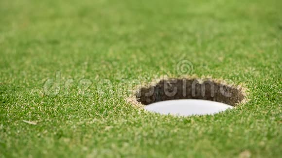 关闭高尔夫球滚入洞的视频视频的预览图