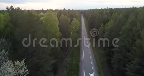 在针叶林中Flycam跟随汽车沿着道路行驶视频的预览图