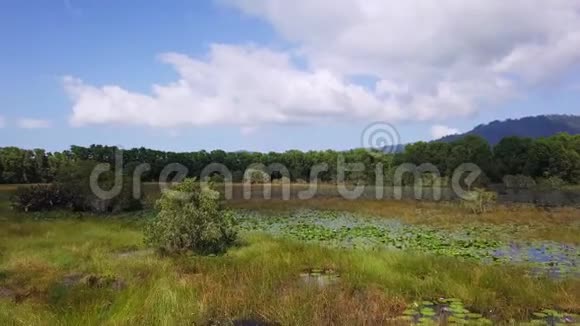 天然湖的鸟瞰绿林环绕着许多睡莲视频的预览图