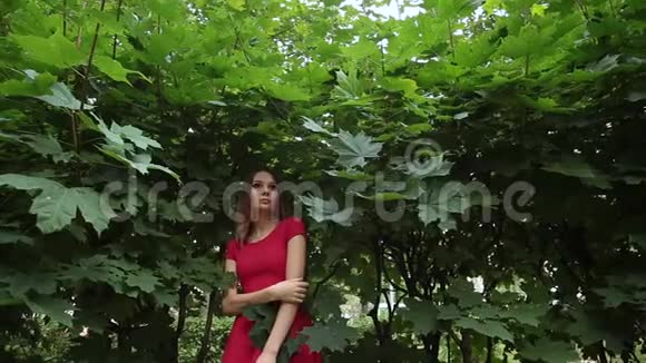 一个穿着时髦红裙子的女孩站在森林灌木丛中抚摸自己视频的预览图
