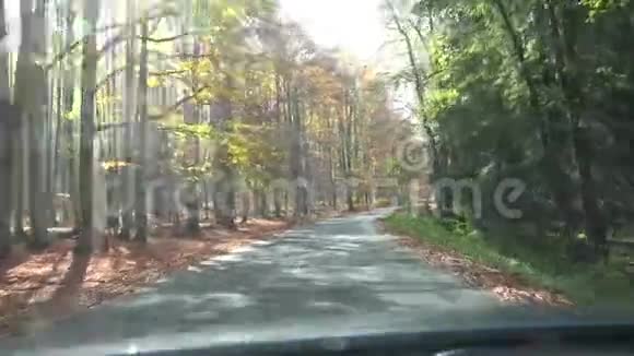 在穿过秋天森林的路上开车视频的预览图