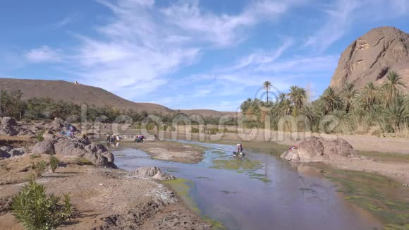 一群摩洛哥妇女在河中洗布在摩洛哥的OasisDeFint附近流动北非视频的预览图