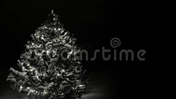 黑色背景有灯光的自然雪色圣诞树视频的预览图