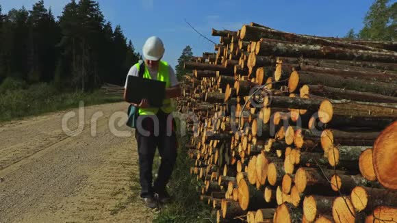 森林官员检查一堆原木视频的预览图