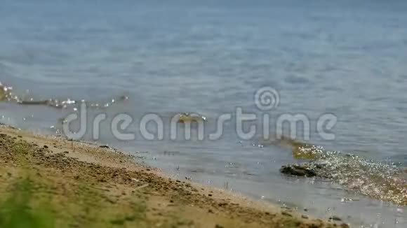 靠近湖水的沙滩上的一块孤石关于石头的细节视频的预览图