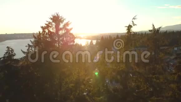 日落时分加拿大北温哥华的一座常绿森林边缘的联排别墅视频的预览图