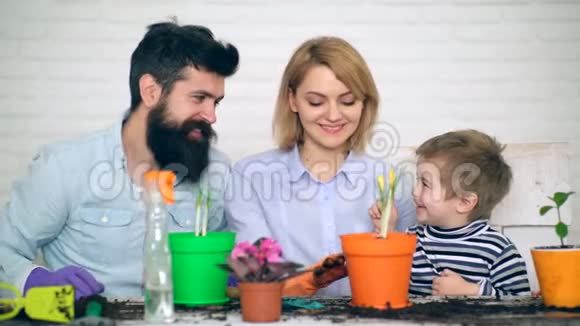 一个快乐的男孩帮助父母在彩色花盆里种花夏季种植花卉视频的预览图