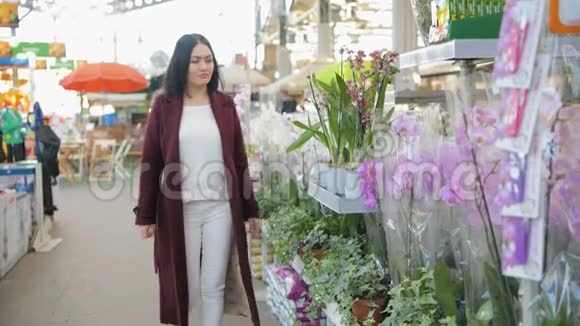 在阳光花园商店买花的女人4K年轻女子在阳光明媚的植物区里买装饰植物视频的预览图