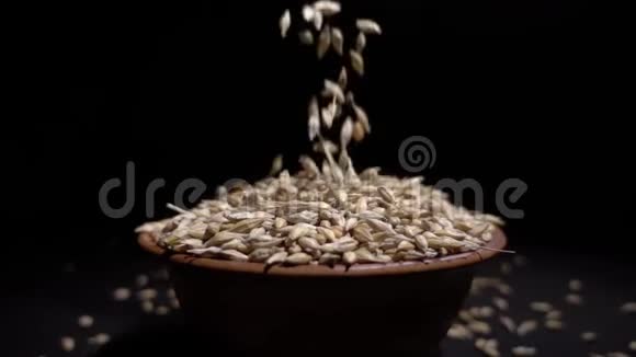 麦粒从盘子的高度落下视频的预览图