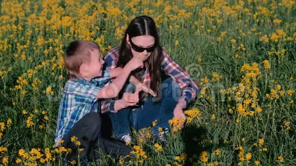 母子俩玩黄花坐在草地上家庭出游视频的预览图