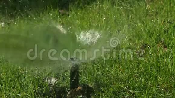 园林自动灌溉系统视频的预览图