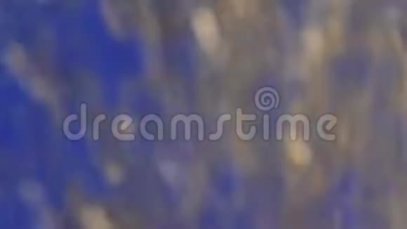 彩色背景中的气泡视频的预览图