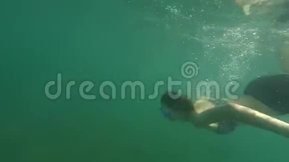 年轻的棕色头发的女人在海水或蓝海中潜水戴着没有珍珠般水肺的游泳面罩视频的预览图