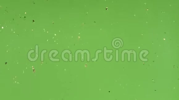 小粒子在彩色背景上随机移动视频的预览图