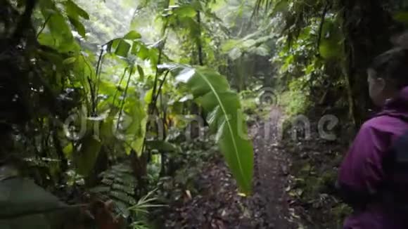 丛林里的年轻夫妇视频的预览图
