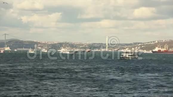 博斯普鲁斯海峡的游船海鸥在飞翔视频的预览图