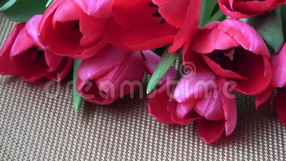 美妙的红泉郁金香在桌子上新鲜花朵视频的预览图