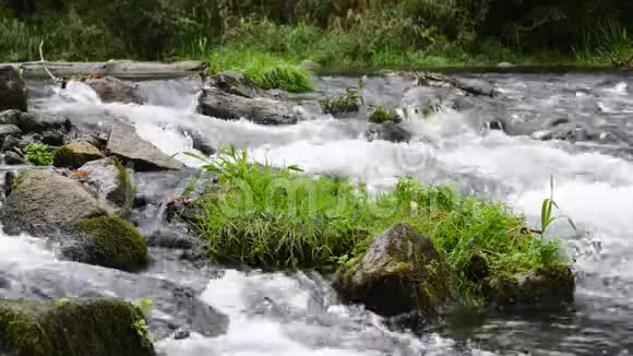 多瑙河河边森林里的小瀑布视频的预览图