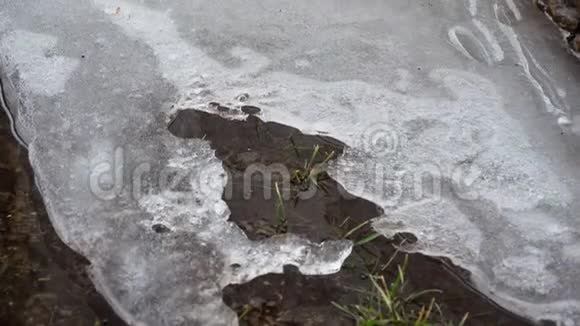 水坑中融化的冰的特写时间流逝视频的预览图