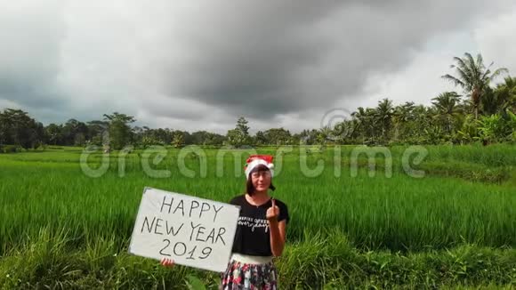 显示中指的女人新年快乐2019在巴厘岛开玩笑白板上手写文字视频的预览图