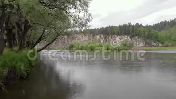 沿着河流飞向森林的质量视频的预览图