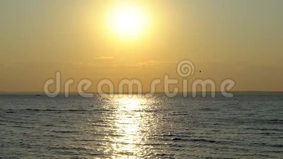 美丽的日落在海滩海浪和海鸥鸟飞翔欣赏金色的海洋日落或日出时的海面视频的预览图